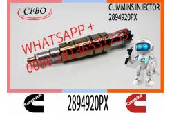 China FUEL INJECTORS 2894920 2894920PX 2894920 2897320 1948565 1933613 2029622	2030519 supplier