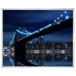 LB209F1-A1DM 20.9 inch 2048*2560 LCD Screen Module for sale