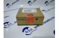 China Yokogawa ANR10D-420 DUAL-REDUNDANT ER BUS NODE UNIT ANR10D in stock supplier