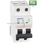 63A 2P Din Rail 6ka MCB Circuit Breaker With Busbar for sale