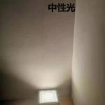 Building Led Flood Light Outdoor Security Lighting High Brightness No Lamp Base for sale