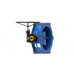 AWWA C504 Double Flanged Eccentric Butterfly Valve SS316 Coated Disc for sale