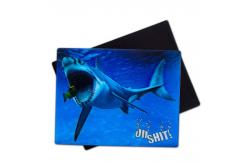 China 3D Magnets Sealifes Dolphin Shark Turtle Lenticular Printing Card For Gifts supplier