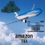 Speedy China To Amazon Germany No Delay DDP Air Shipping for sale