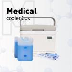 White Small Portable Cooler for Medicine with Cooler Net Weight 1.6kg± 5% for sale