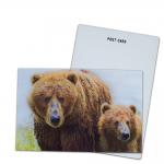 Brown Bear In Alaska Lenticular Card Souvenir Gift Card For Tourist 3d Postcards for sale