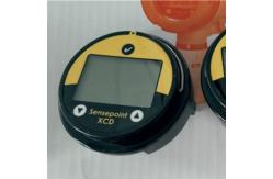 China Honeywell Display Module 30016B501 SPXCDDMT O2 And Toxic Display Module supplier