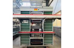 China Q235 Poultry Cage chicken farm for layer chickens Equipment Automated Chicken Layer supplier