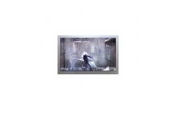 China AA121SL06 12.1 inch 800*600 tft lcd module screen display supplier