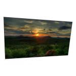 S550HJ1-S01 55.0 inch lcd screen display in stock for Outdoor High Brightness for sale