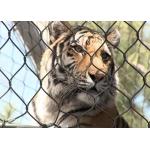 Inox Kotted Zoo Animal Enclosure Flexible Netting Customized Size For Tiger for sale