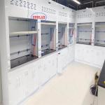 Microcomputer Control System Chemical Fume Hood Laboratory Fuming Cupboard Wall Mounted Installation Type for sale
