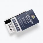 85.5mmx54mm Plastic Access Cards PVC Hico/Loco Custom Magnetic Stripe Cards for sale