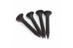 China Aesthetic Drywall Screw Phillips Head Black Self Tapping Screw supplier