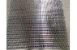 China Hot Dipped Galvanised Welded Wire Mesh Panel / Welded Wire Netting 1/4 Inch supplier