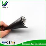 HDPE/LDPE/LLDPE Isolation Polyethylene Geomembranes With Protection Puncture Resistance ≥120N Smooth/Textured Surface 0.2mm-3.0mm Thickness for sale