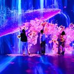 Hotel Decoration 3d Holographic Interactive Wall Projection Software Projector for sale