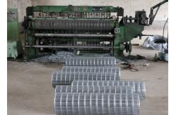 China 1 By 2 Welded Steel Wire Mesh supplier
