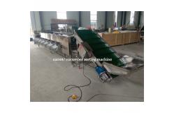 China Cucumber Sorting Machine, Cucumber Grading Machine, Cucumber Grader sorter supplier