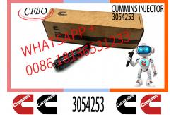 China Diesel Fuel Injector 4913325 3054218 3054253 For NT855 NTA855 Engine supplier