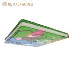Customized Brochure Printing for Children on Thick Paper Board