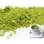 Healthy Fat Burning Green Tea Matcha Powder With Steamed Processing for sale