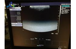 China 9L4 Linear Vascular Ultrasound Transducer Probe Acuson S2000 supplier