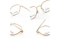 China Good Quality Popular IP Plating Eyewear Optical Titanium Frame supplier