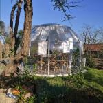 PC Clear Dome House Tent 6m Geodesic Dome For Outdoor Clamping for sale