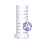 ITI Straumann Tissue Level Synocta® UCLA All-Plastic Castable Abutment Compatible  RN 4.8mm/ WN 6.5mm (Engaging & Non-En for sale
