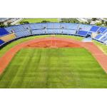 Intelligent TPE Prefabricated Rubber Runway Stadium Tartan Running Track for sale