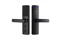 China Upgrade Your Home Security with S811 Biometric Fingerprint Lock and WiFi Connectivity supplier