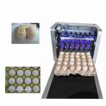 Eggs Batch Code Food Inkjet Printer , Continuous Laser Marking Machine  for sale