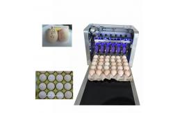 China Eggs Batch Code Food Inkjet Printer , Continuous Laser Marking Machine  supplier