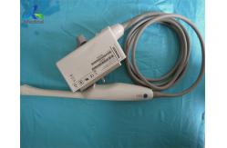 China 9Mhz Urology Endocavity Ultrasound Transducer Probe Siemens EC9-4 supplier