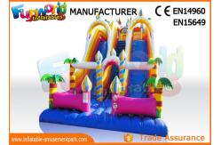 China Giant Vinyl Commercial Inflatable Slide / Double Inflatable Playground Slide supplier