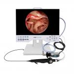 TUYOU Multi-Purpose Rigid And Flexible Endoscopy Camera System For Uterine Surgeries for sale