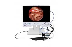 China TUYOU Multi-Purpose Rigid And Flexible Endoscopy Camera System For Uterine Surgeries supplier