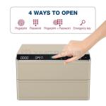 Double Layers Auto Open Safe For Documents And Jewelry With Solid Steel