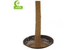 China Good-Looking Homesense Artificial Plants Artificial Zebra Plant Garden Decor supplier
