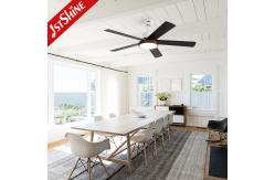 China Modern Ceiling Fan Light With Dc Motor Smart Dimmable LED Light supplier