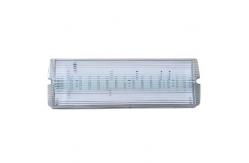 China Professional Custom Surface Wall Mounted Waterproof Emergency Light supplier