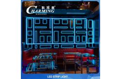 China Multiscene flexible LED RGB Rope Light Strip length 500cm SPI Control supplier