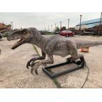 Life Size Realistic Animatronic Dinosaur Velociraptor Model Theme Park Dinosaur for sale