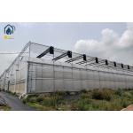 Outdoor Large Multi Span Greenhouse Agriculture Metal Frame Plastic Greenhouse for sale