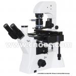 Infinity  Trinocular Inverted Phase Contrast Microscope DIC Bright Field  A19.0204 for sale