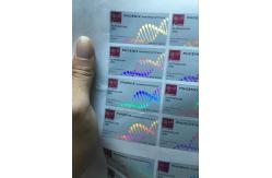 China Phoenix Pharma Oil Labels And Boxes Customized Size supplier