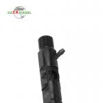Diesel Fuel Injector EJBR04601D A6650170321 for Euro 3 Engine