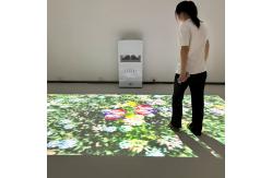 China Interactive Floor Projection Machine for Schools and Kids supplier