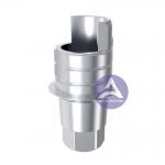 C-Tech® Internal Hexagen Titanium Ti-Base Abutment Engaging Type for sale